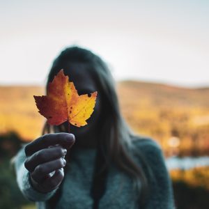 Atelier Culinaire - Le Canada